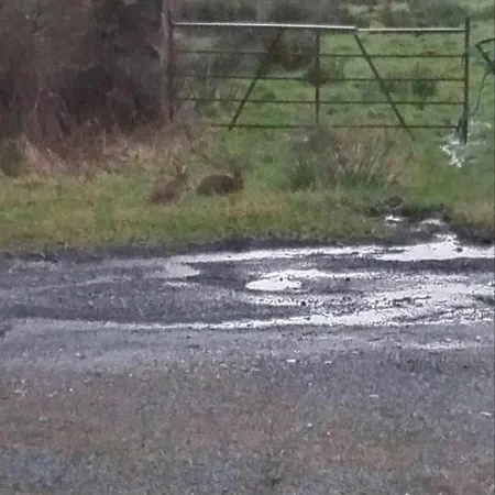 Σπίτι διακοπών Glenadagh Oughter Ballycastle (Mayo)