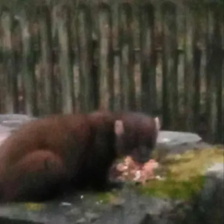 度假居 Glenadagh Oughter *