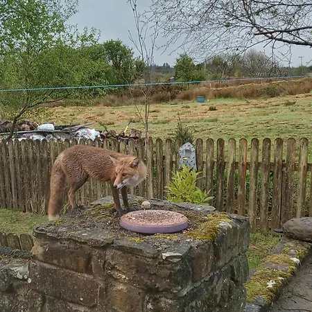 Glenadagh Oughter