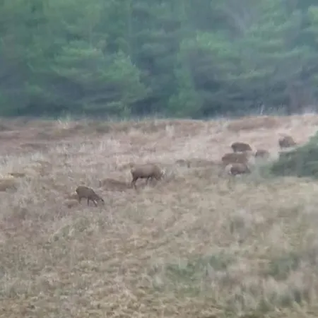 Glenadagh Oughter Feriehus *