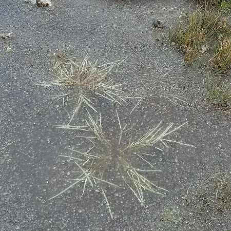 度假居 Glenadagh Oughter *