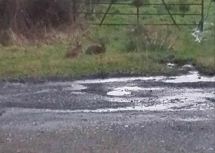 Dom wakacyjny Glenadagh Oughter Ballycastle (Mayo)