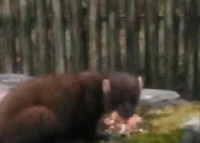 Feriehus Glenadagh Oughter *