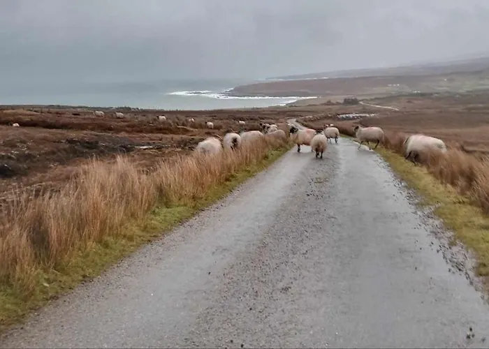 Glenadagh Oughter Feriehus Ballycastle (Mayo)