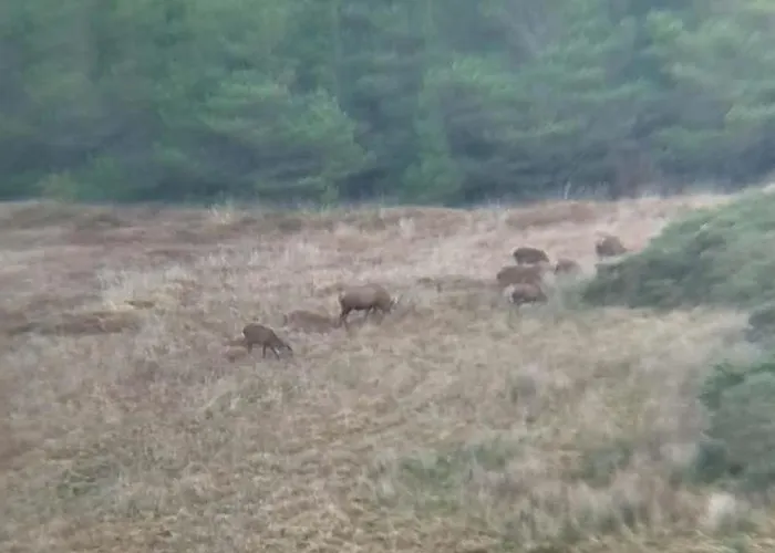 Glenadagh Oughter Dom wakacyjny *