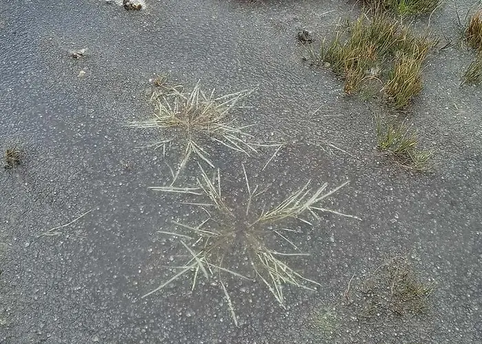 Dom wakacyjny Glenadagh Oughter *